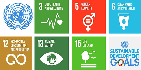 Objetivos de desenvolvimento sustentável da ONU