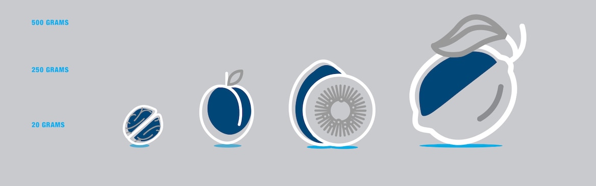 Ilustrovaná ikona orecha, marhule, kivi a citróna s ich hmotnosťou na ľavej strane