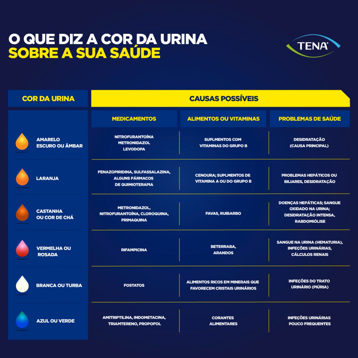 Urina escura: causas, sinais de alerta e quando preocupar-se