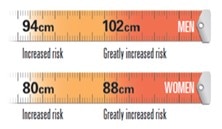 Obesity tape measure