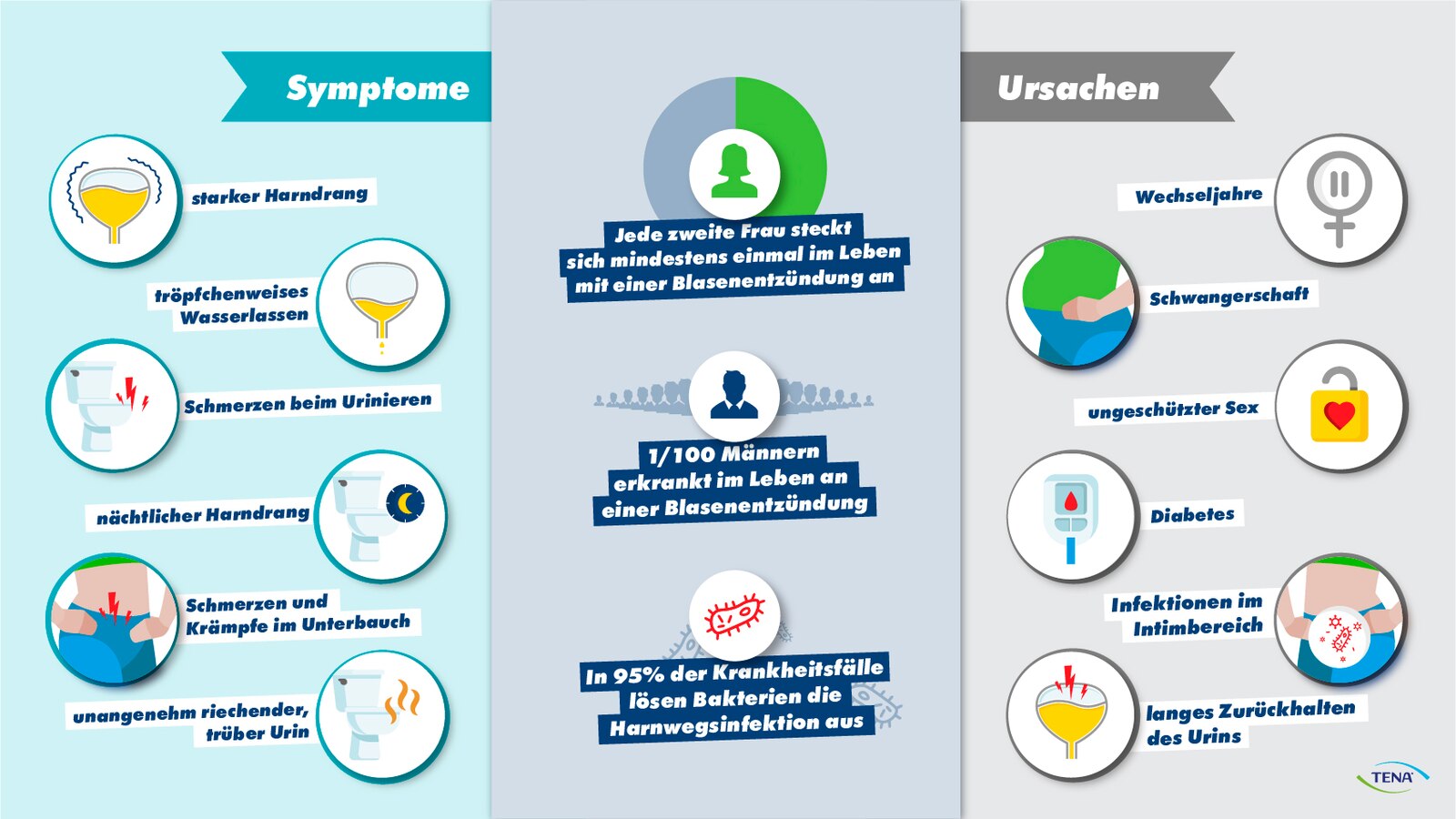 Blasenentzündung Symptome und Behandlung TENA