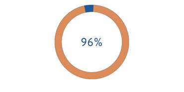 ikona 96%