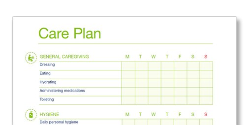 Snap shot of the TENA Family Carer Care Plan template