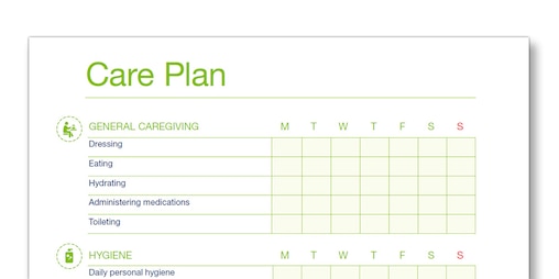 Snap shot of the TENA Family Carer Care Plan template