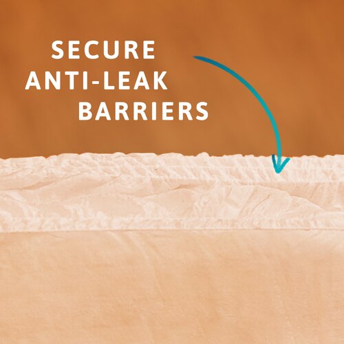 Κοντινό πλάνο του TENA Pants για να φανούν τα φράγματα κατά των διαρροών. Ένα βέλος δείχνει τα όρθια στηρίγματα του προϊόντος και η λεζάντα λέει «Φράγματα προστασίας κατά των διαρροών».