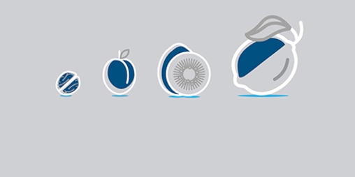 Illustratsioon: kreeka pähkel, ploom, kiivi ja sidrun reas. 