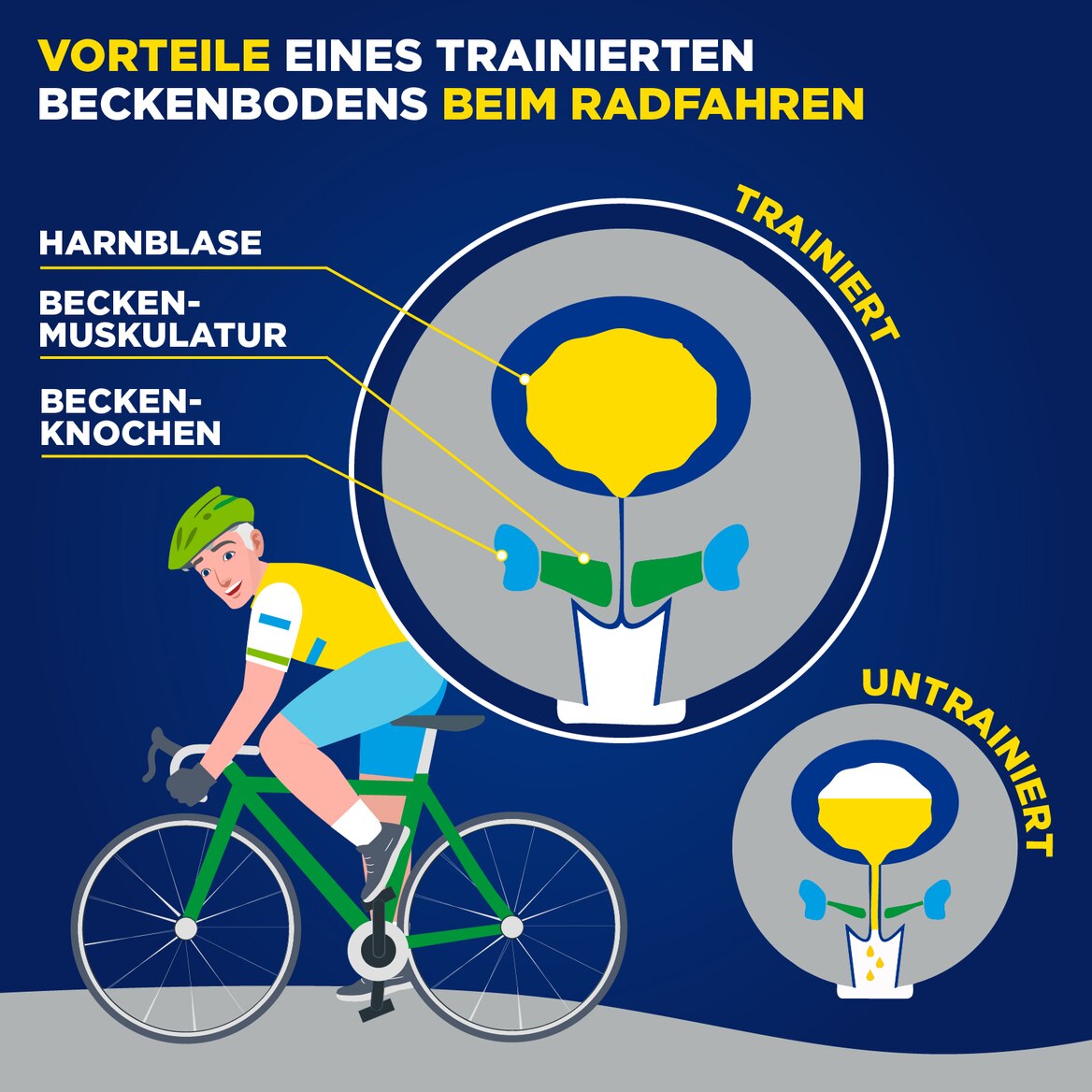 Grafik zeigt Vorteile eines kräftigen Beckenbodens beim Radfahren mit Vergleich zwischen trainiertem und untrainiertem Zustand.