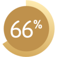 Graphic showing 66%