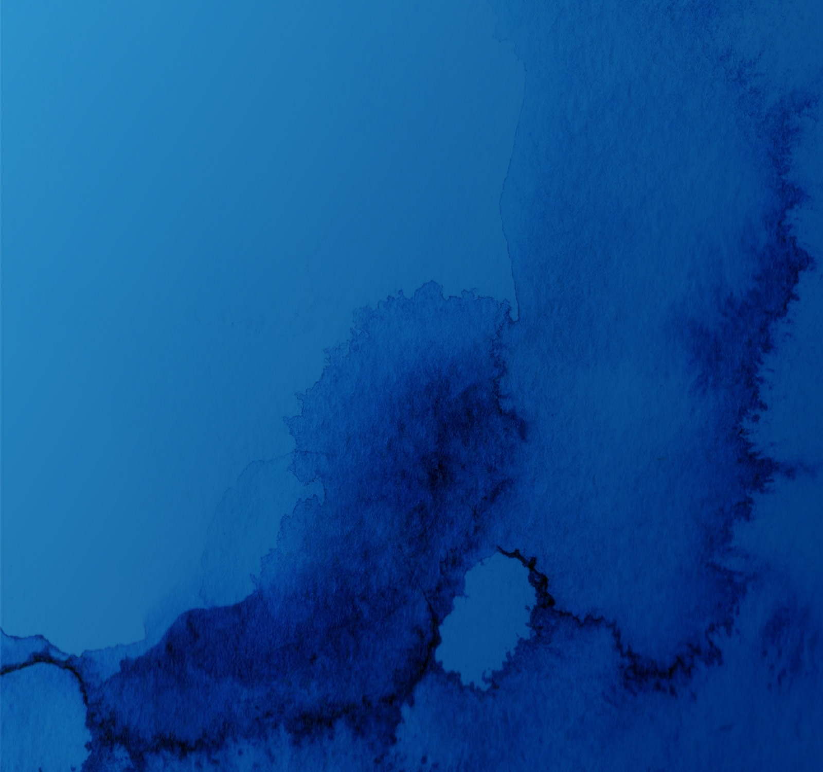 background sampling form.jpg