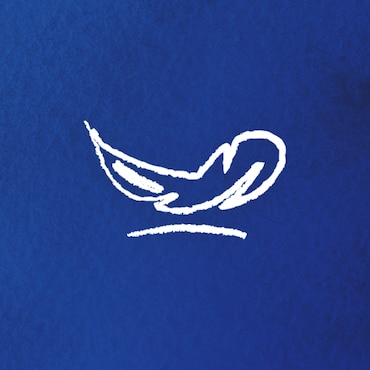 An illustration of a feather on a blue background