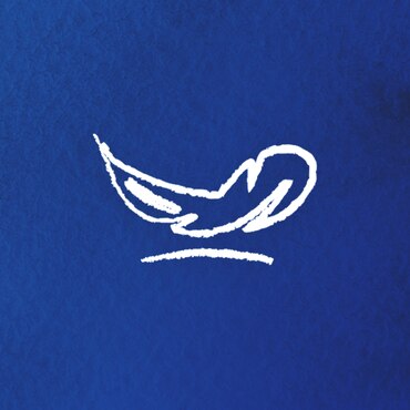 An illustration of a feather on a blue background