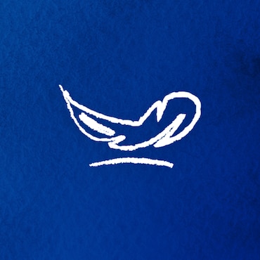 An illustration of a feather on a blue background An illustration of a feather on a blue background