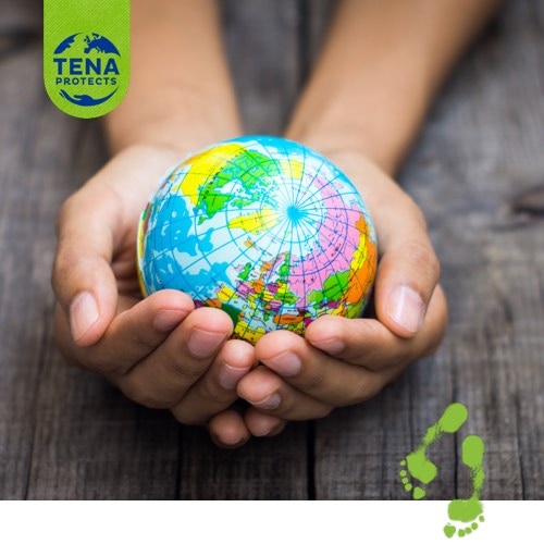 Two hands, resting on a wooden table, gently cupping a small colorful globe showing the northern hemisphere.