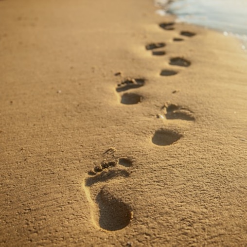 A line of footprints on a beach recede into the distance. 