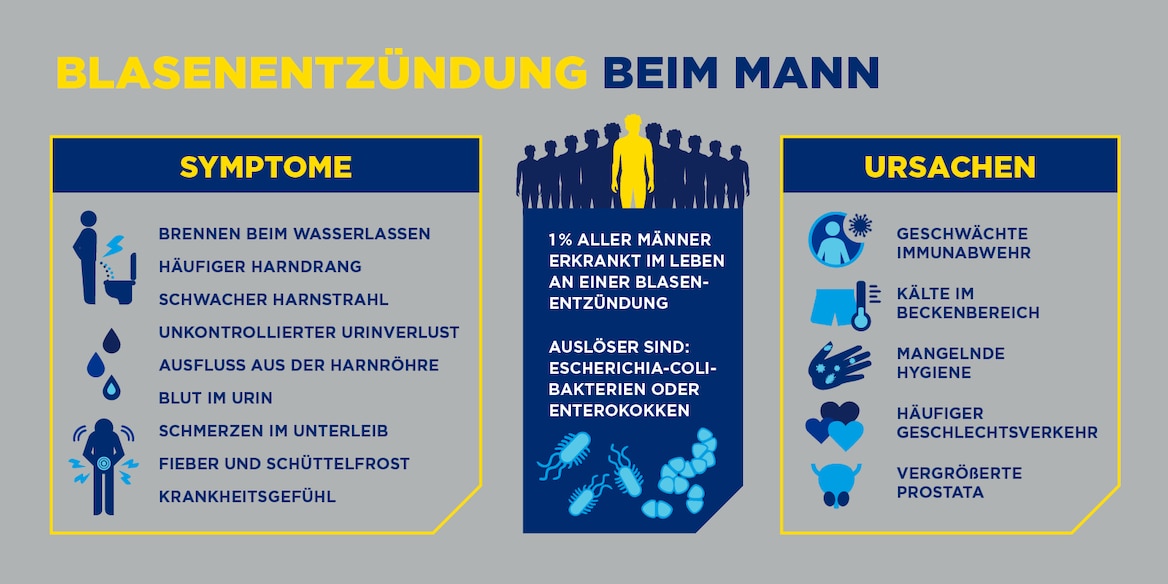 Infografik zu Ursachen und Symptomen einer Blasenentzündung beim Mann