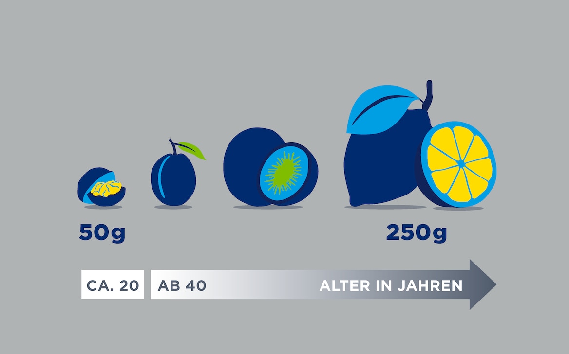 Illustration zur Größenentwicklung der Prostata bei Männern ab 40 Jahren; die Größen sind symbolhaft als Walnuss, Pflaume, Kiwi und Zitrone dargestellt.