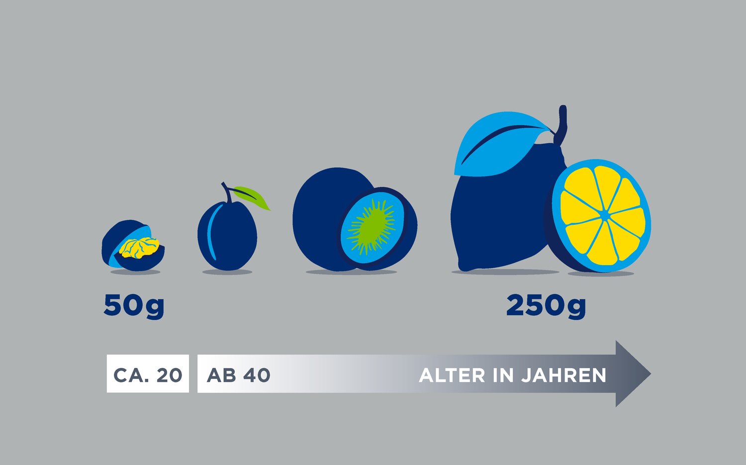 Illustration zur Größenentwicklung der Prostata bei Männern ab 40 Jahren; die Größen sind symbolhaft als Walnuss, Pflaume, Kiwi und Zitrone dargestellt.