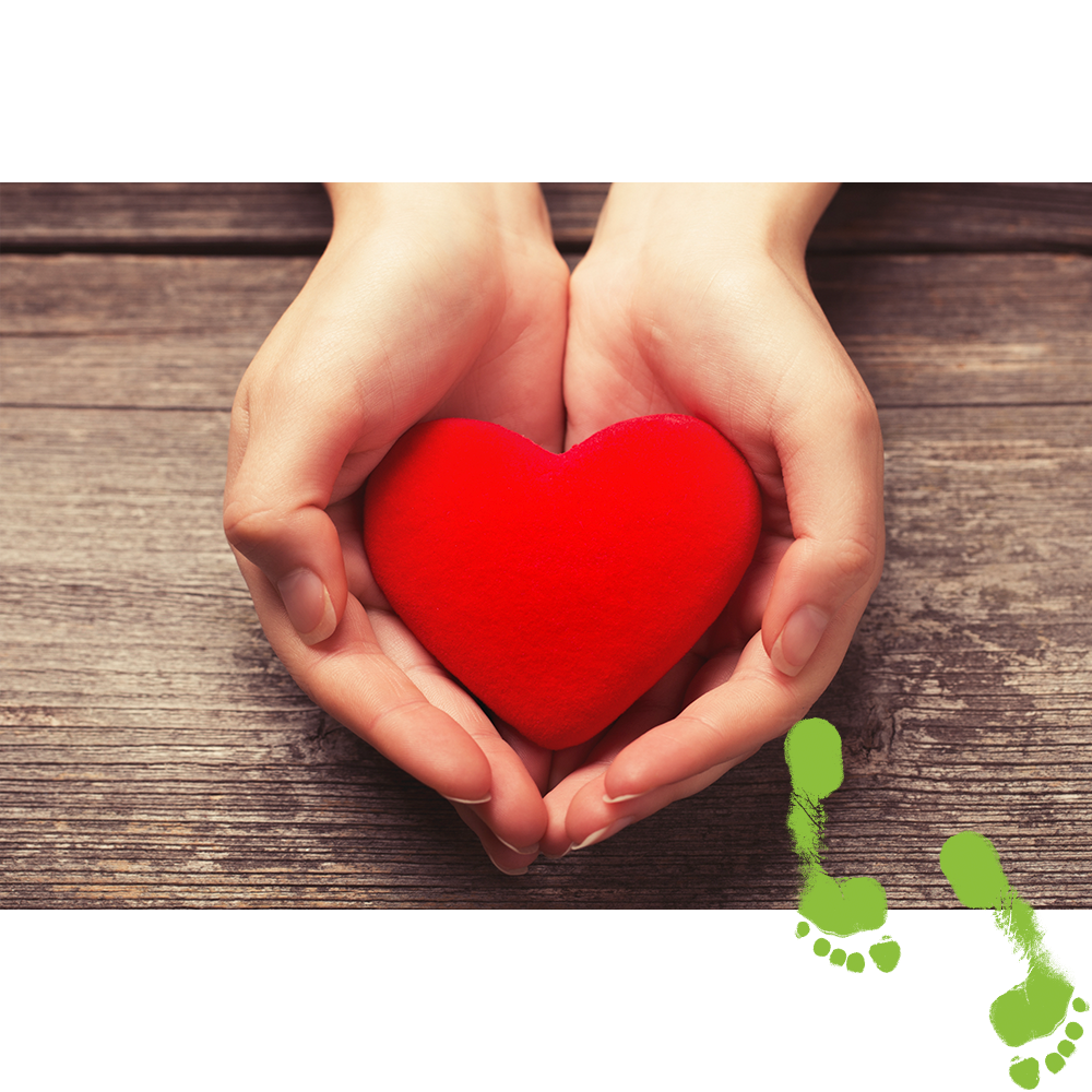 Cupped hands hold a red heart shape.