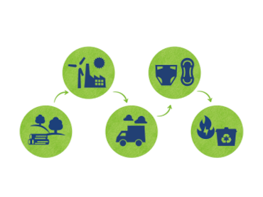 Illustrasjon av de 5 stadiene i et TENA-produkts livssyklus – råmaterialer, produksjon, transport, bruk og styring etter bruk 