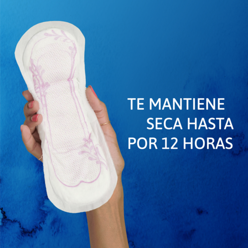 Te mantiene seca hasta por 12 horas