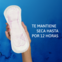 Te mantiene seca hasta por 12 horas