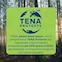 Con il programma TENA Protects intendiamo ridurre il nostro impatto ambientale del 50% entro il 2030, per cambiare in meglio il nostro pianeta