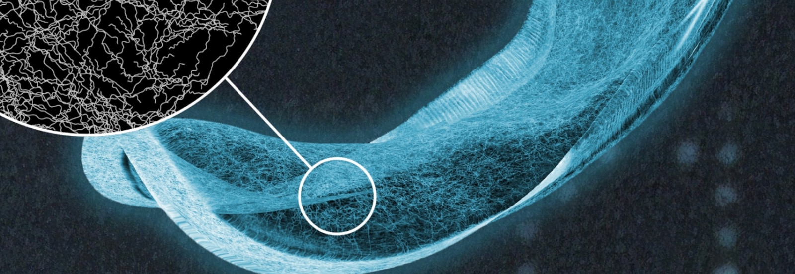 Ein Röntgenbild einer TENA saugfähigen Einlage mit einer Detailansicht der Fasern im saugfähigen Kern 