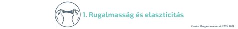 Rugalmasság