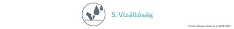 Vízállóság