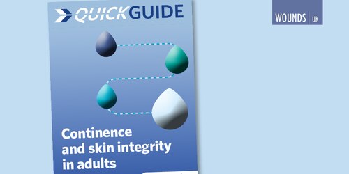 Front cover of Wounds UK Quick Guide publication