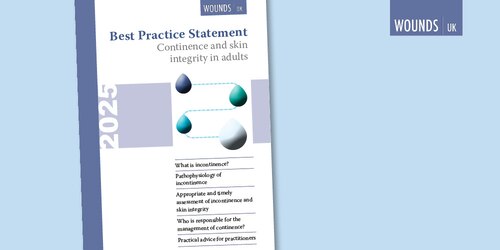 Front cover of Wounds UK Best Practice Statement publication