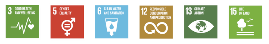 icons for sustainable development goals