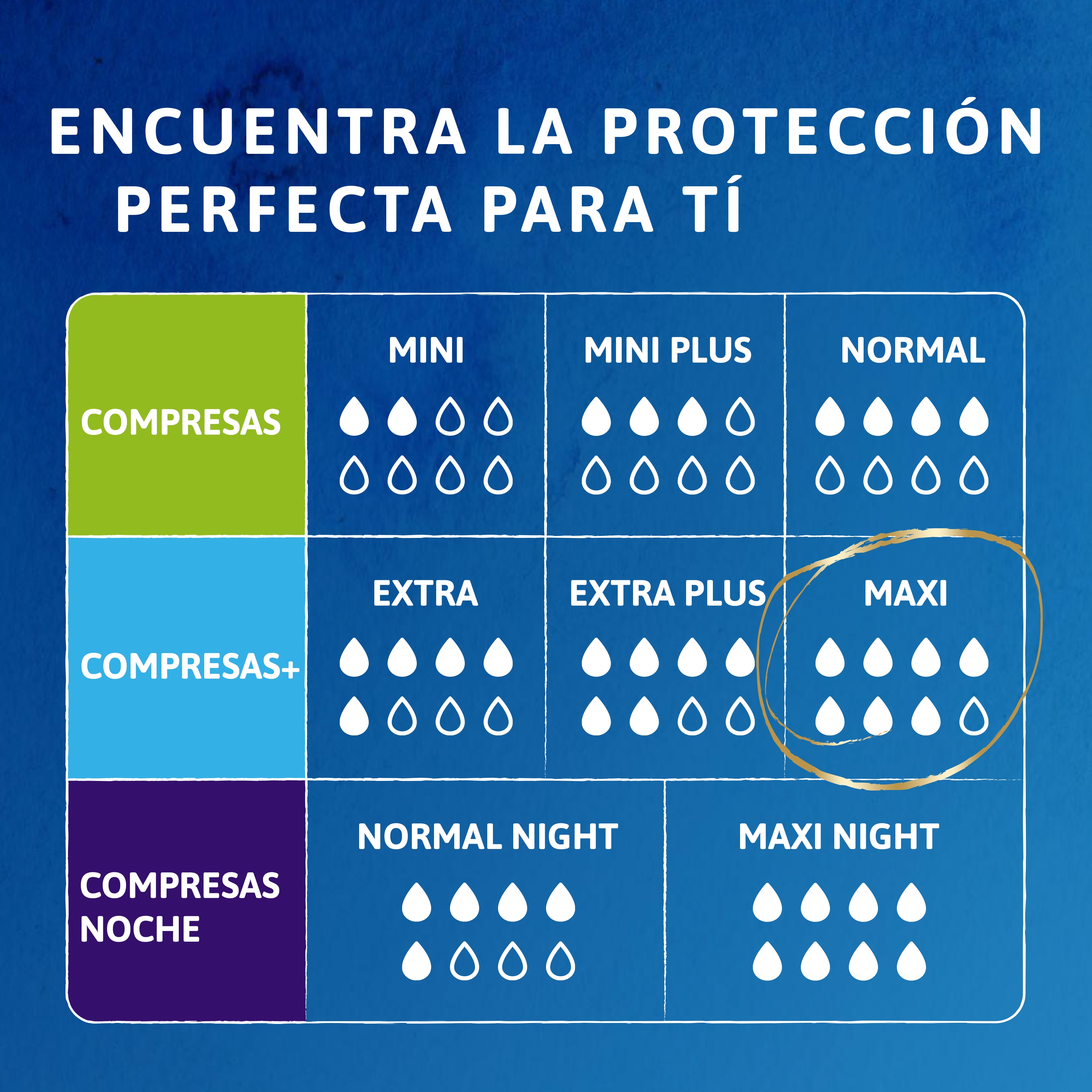 Encuentra la protección perfecta para tí