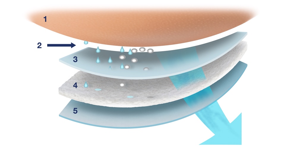 Comment fonctionne notre technologie respirante