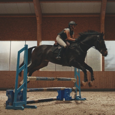 Horse Rider Jumping